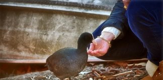 É urgente amar mais do que odiar