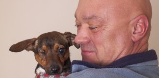 Novo “Tinder” une animais abandonados à pessoas interessadas em adotar