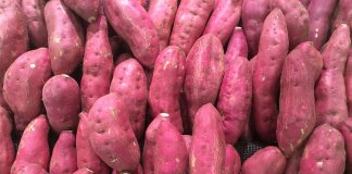 A batata-doce é a chave para o fim da gastrite, refluxo, azia, e até mesmo úlceras!