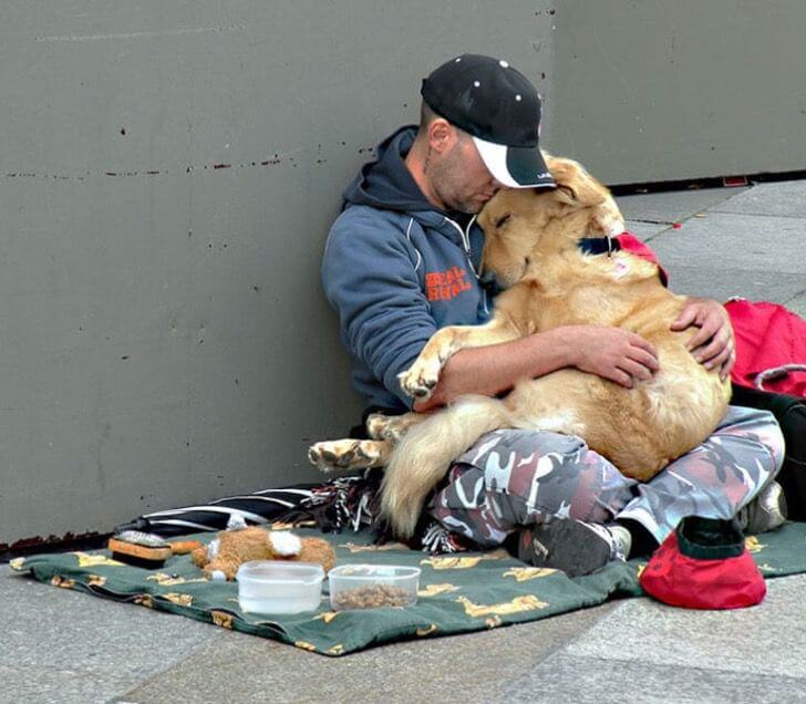 contioutra.com - 10 momentos que mostram que o amor dos cães é incondicional