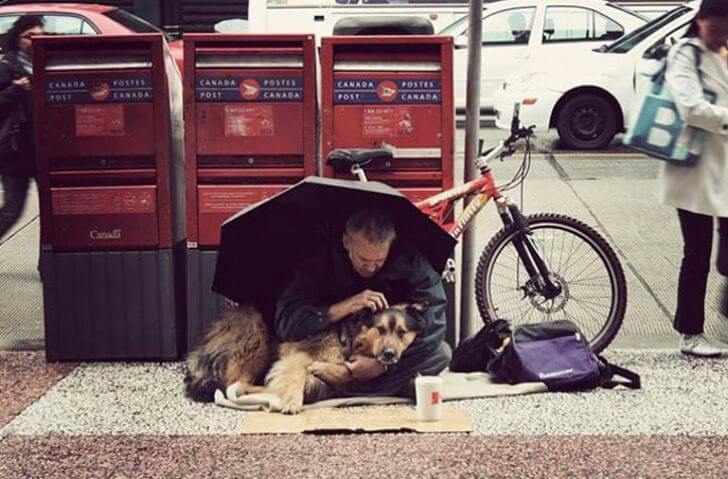 contioutra.com - 10 momentos que mostram que o amor dos cães é incondicional