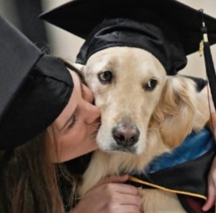 contioutra.com - Nós aplaudimos este cão dedicado que se formou com sua dona deficiente.