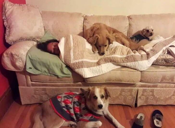10 momentos que mostram que o amor dos cães é incondicional contioutra.com - 10 momentos que mostram que o amor dos cães é incondicional