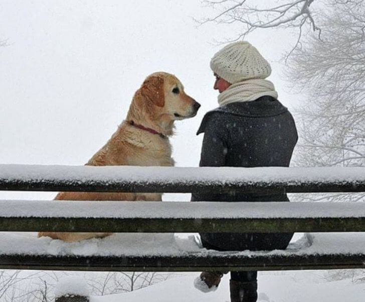 contioutra.com - 10 momentos que mostram que o amor dos cães é incondicional