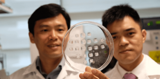 “Adesivo” transforma gordura da barriga em energia e faz emagrecer “Adesivo” transforma gordura da barriga em energia e faz emagrecer