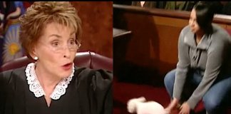 Juíza libera cão em tribunal para que ele mostre quem realmente é seu dono.