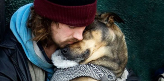 10 momentos que mostram que o amor dos cães é incondicional