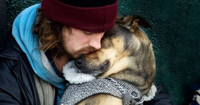 10 momentos que mostram que o amor dos cães é incondicional