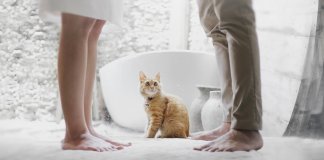 Antes de insistir, lembre-se que nada dá certo no tempo errado