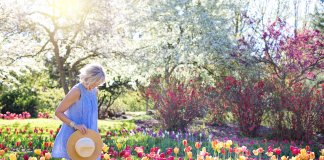 “Viva com paz na alma. O tempo virá e as flores vão florescer sozinhas.”