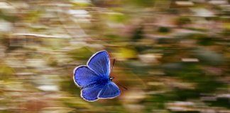 Excesso de ordem ou de caos não nos faz bem