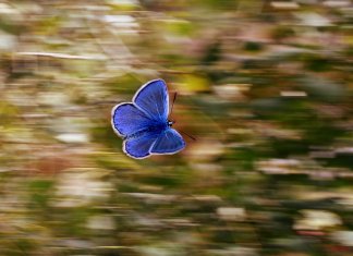 Excesso de ordem ou de caos não nos faz bem
