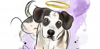 O único animal que mata por ódio é o bicho homem O único animal que mata por ódio é o bicho homem