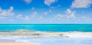 A neurociência recomenda ir à praia regularmente.