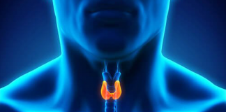 Tireóide e humor: qual é a relação?