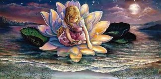 Seja como a flor de lótus: renasça todos os dias e se imponha contra a adversidade Seja como a flor de lótus: renasça todos os dias e se imponha contra a adversidade