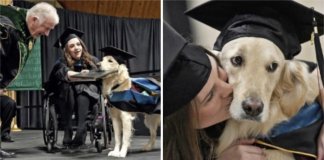 Nós aplaudimos este cão dedicado que se formou com sua dona deficiente.