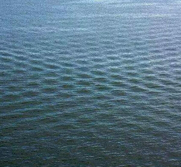 contioutra.com - Se você vir ondas quadradas na superfície do mar, fique longe e avise os outros imediatamente.