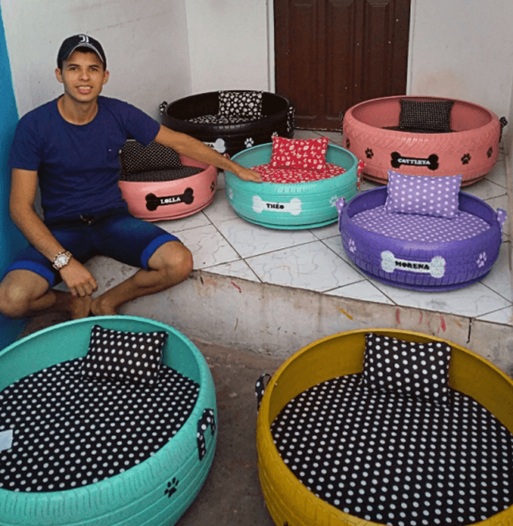 asomadetodosafetos.com - Jovem transforma pneus velhos em lindas caminhas para pets.