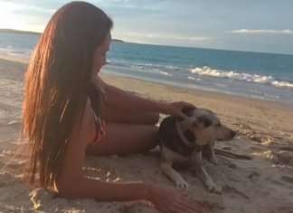 Eu aprendi algo lindo com um cachorro de rua