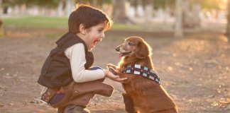 “Respeito pelos animais” é o novo assunto ensinado em algumas escolas na Espanha “Respeito pelos animais” é o novo assunto ensinado em algumas escolas na Espanha