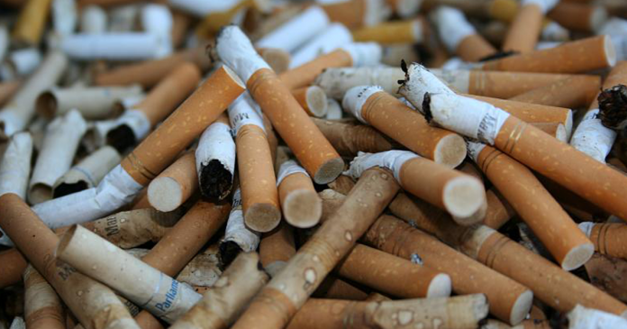 Bitucas não são sementes! Campanha visa conscientizar fumantes a não jogarem cigarro no chão