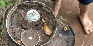 Deixem as crianças brincarem com terra! Deixem as crianças brincarem com terra!