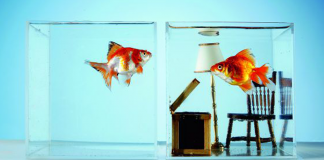 Minimalismo: Jogar fora um objeto por dia vai fazer você se sentir melhor Minimalismo: Jogar fora um objeto por dia vai fazer você se sentir melhor