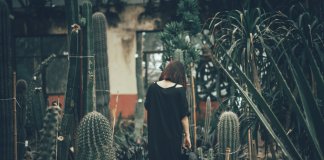 Despedidas também são presentes