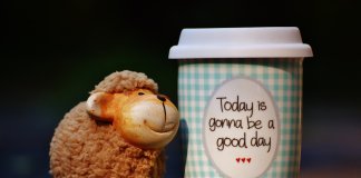 10 dias de amor próprio para elevar suas chances de ser realmente FELIZ! 10 dias de amor próprio para elevar suas chances de ser realmente FELIZ!