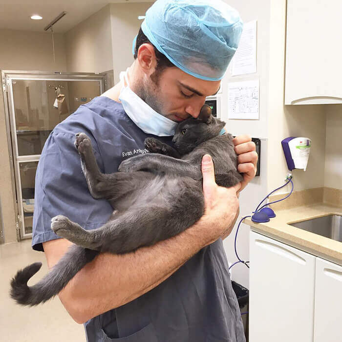 contioutra.com - Clínica veterinária abriu vaga de emprego para “abraçador de gatos”