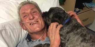 Ele estava em coma e o latido de seu cão fiel o fez acordar. Ele garante que este é seu “anjo”