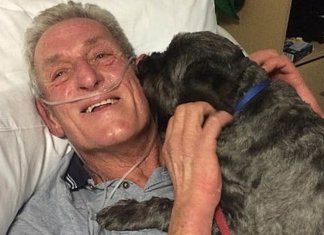 Ele estava em coma e o latido de seu cão fiel o fez acordar. Ele garante que este é seu “anjo”