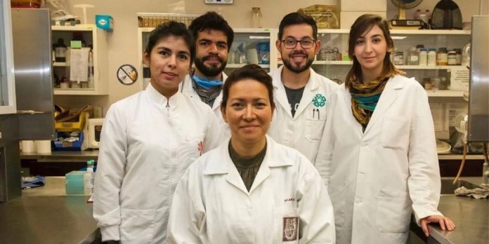 Cientista mexicana consegue curar o papilomavírus humano em 100% das mulheres. Vai salvar milhares!