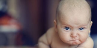 É de pequenino que se torce o pepino É de pequenino que se torce o pepino