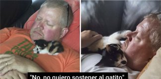 10 pessoas que afirmaram fortemente que “não queriam nada com o maldito gato”.