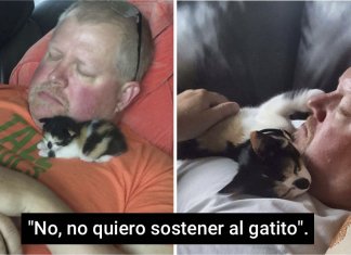 10 pessoas que afirmaram fortemente que “não queriam nada com o maldito gato”.