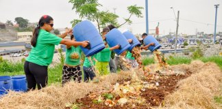 Iniciativa brasileira de compostagem comunitária é premiada na Alemanha