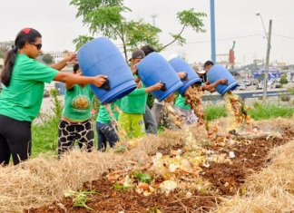 Iniciativa brasileira de compostagem comunitária é premiada na Alemanha