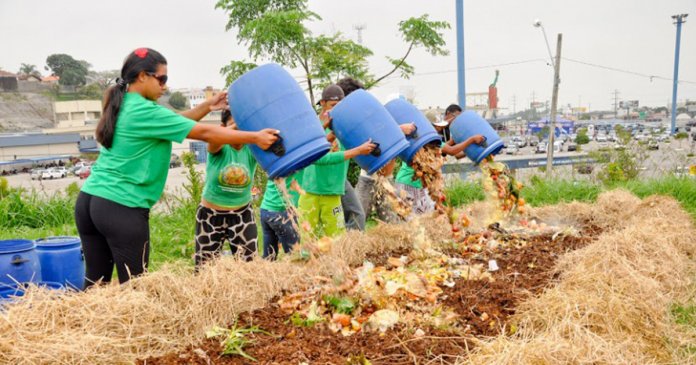 Iniciativa brasileira de compostagem comunitária é premiada na Alemanha