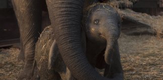 6 excelentes razões para assistir Dumbo assim que tiver chance