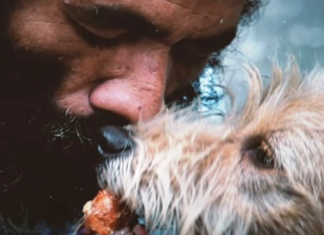O abrigo para animais abandonados do RJ que será cuidado por moradores em situação de rua que também possuem bichinhos