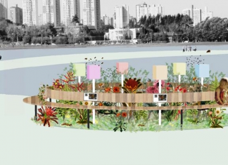 Contra extinção, Curitiba vai implementar “ilhas” com abelhas sem ferrão em seus parques públicos