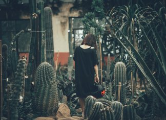 Essa pessoa que lembra um cacto, precisa do seu olhar