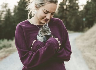 Estudo aponta que quem tem gatos é mais inteligente do que quem tem cães.