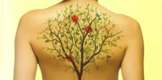 Como as emoções afetam as costas? Como as emoções afetam as costas?