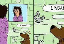 Para o seu cão você sempre será a pessoa mais linda do mundo Para o seu cão você sempre será a pessoa mais linda do mundo