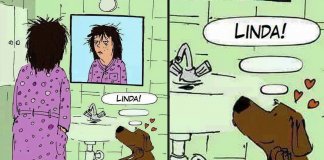 Para o seu cão você sempre será a pessoa mais linda do mundo