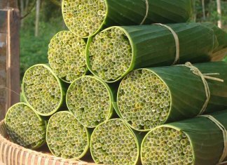 Capim vira matéria-prima para fabricação de canudos biodegradáveis em empresa vietnamita