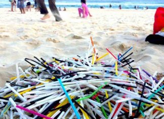 Utensílios de plástico são proibidos em praias da Argentina